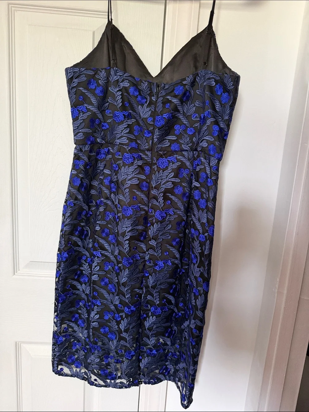 Black Floral Lace Dress with Royal Blue Detail - Picture 2 of 3